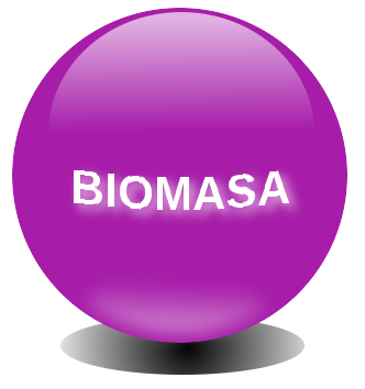 Energa Biomasa